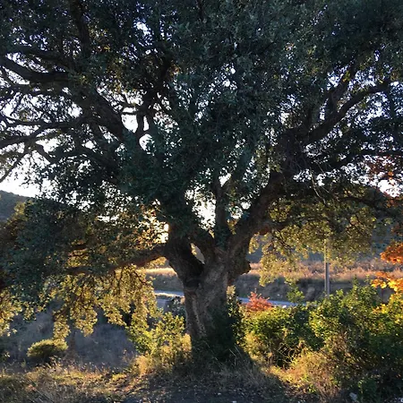 Coeur De Nature