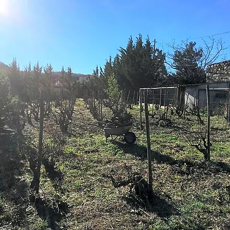 Coeur De Nature Bed & Breakfast 3*