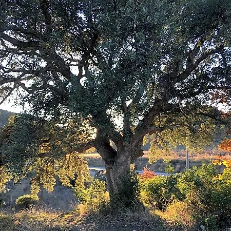 Coeur De Nature Bed & Breakfast 3*